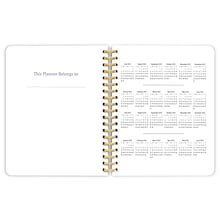 2024 Plato Crackled Blush 6 x 7.75 Academic & Calendar Weekly Planner, Paperboard Cover, Multicolo