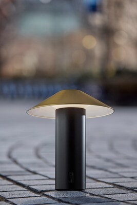 Adesso ADS360 Pina 10.5"H LED Table Lamp, Black/Antique Brass (AD9205-01)