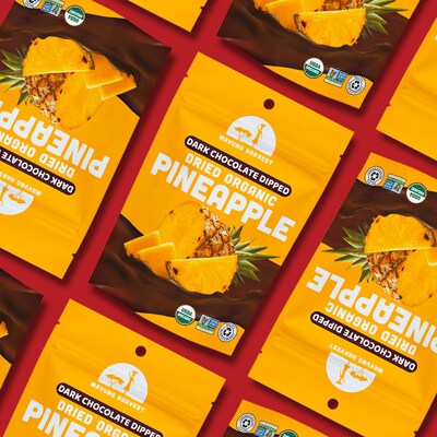 Mavuno Harvest Organic Dried Pineapple Dipped in Dark Chocolate Fruit Snacks, 1 lb. Bag (MAHW-CPNAPL1LB)