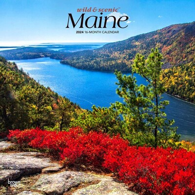 2024 BrownTrout Maine Wild & Scenic 12 x 24 Monthly Wall Calendar (9781975463793)