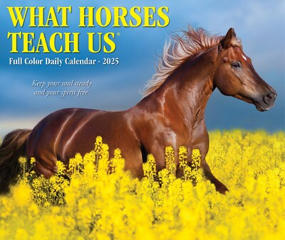 2025 Willow Creek What Horses Teach Us 6" x 5.5" Day-to-Day Calendar (41123)