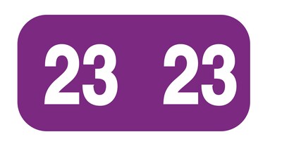Medical Arts Press Smead Compatible Purple Small End-Tab Year Labels; 2023 (3266323)