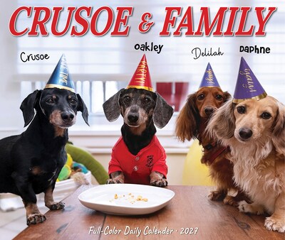 2027 Willow Creek Crusoe the Celebrity Dachshund 6.2" x 5.4" Daily Day-to-Day Calendar, Assorted Colors (63378)
