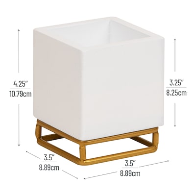Mind Reader Pen Holder, White (PENWD-WHT)