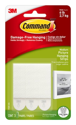Command Medium Hanging Strips, 6 lb., White, 3/Pack (17201-ES)