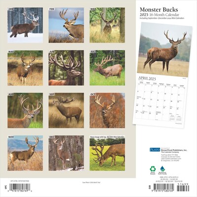2025 Plato Monster Bucks 12" x 24" Monthly Square Wall Calendar, (9781975480769)