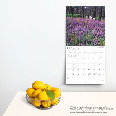 2025 BrownTrout Yosemite 12" x 24" Monthly Square Wall Calendar, (9781975475994)