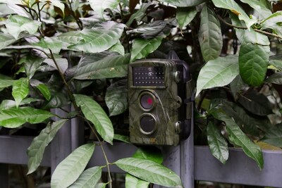 Technaxx Nature Wild Cam TX-69 Outdoor 2.4" Security Camera, Multicolored (4719)