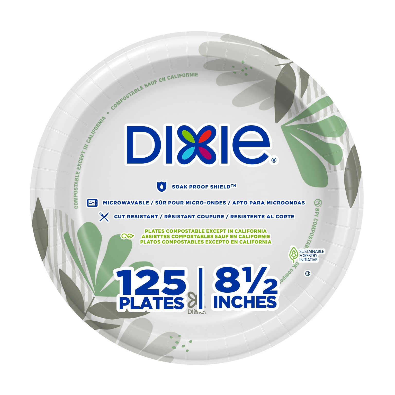 Dixie Pathways 8.5 Paper Plates, Multicolored, 125 Plates/Pack (DXEUX9WS)