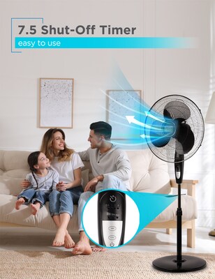 Black & Decker 16" Oscillating Pedestal Fan, 3-Speed, Black (BFSR16B)