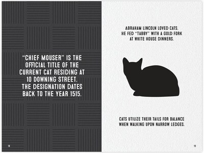 Crazy Cat Trivia, Chapter Book Softcover (49526)