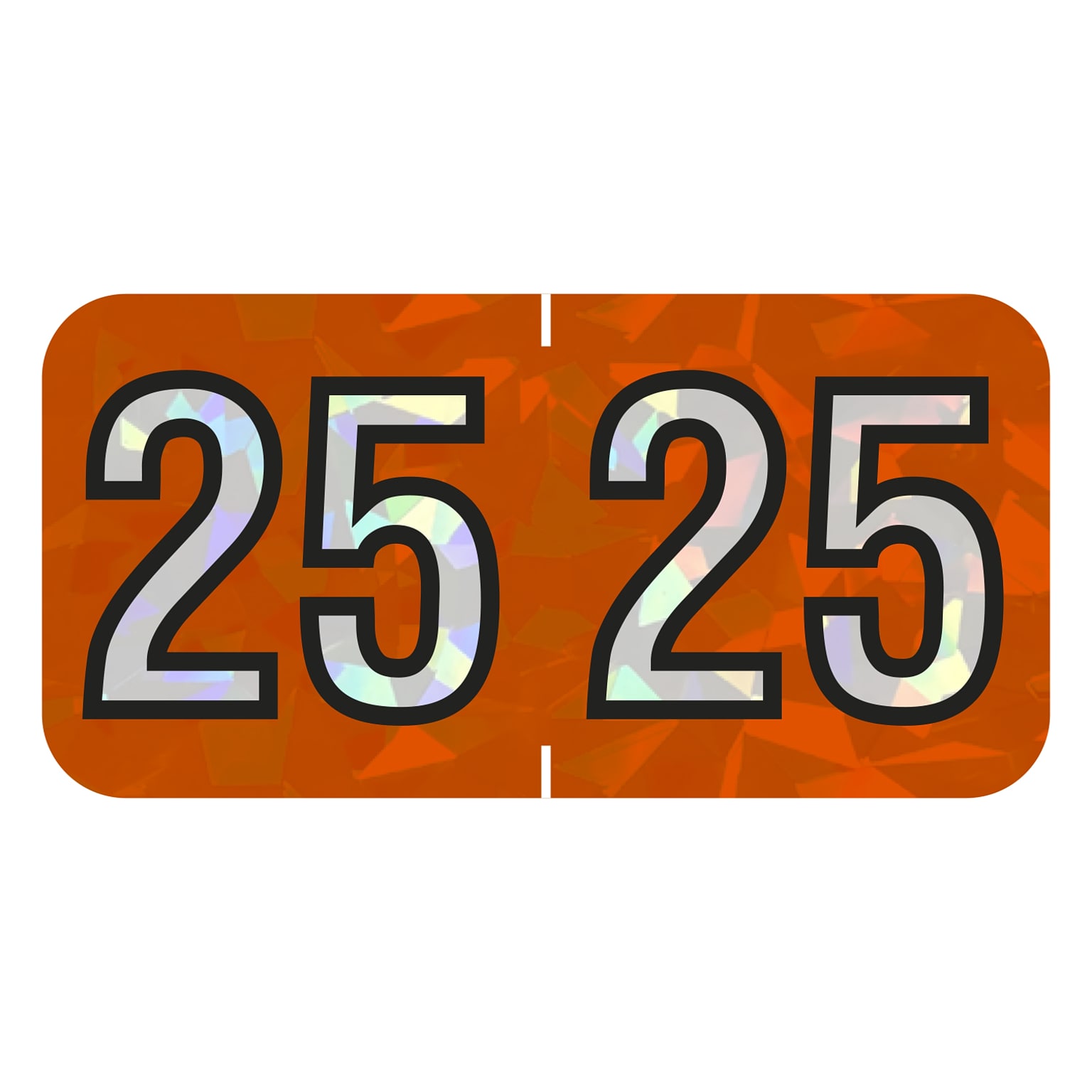 Medical Arts Press Holographic End-Tab Year Labels, 2025, Orange, 500/Roll (074HOR)