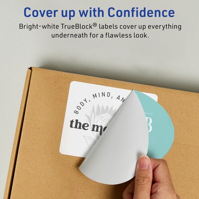 Avery TrueBlock Laser/Inkjet Oval Multipurpose Labels, 4" x 6", White, 100/Box (94057)