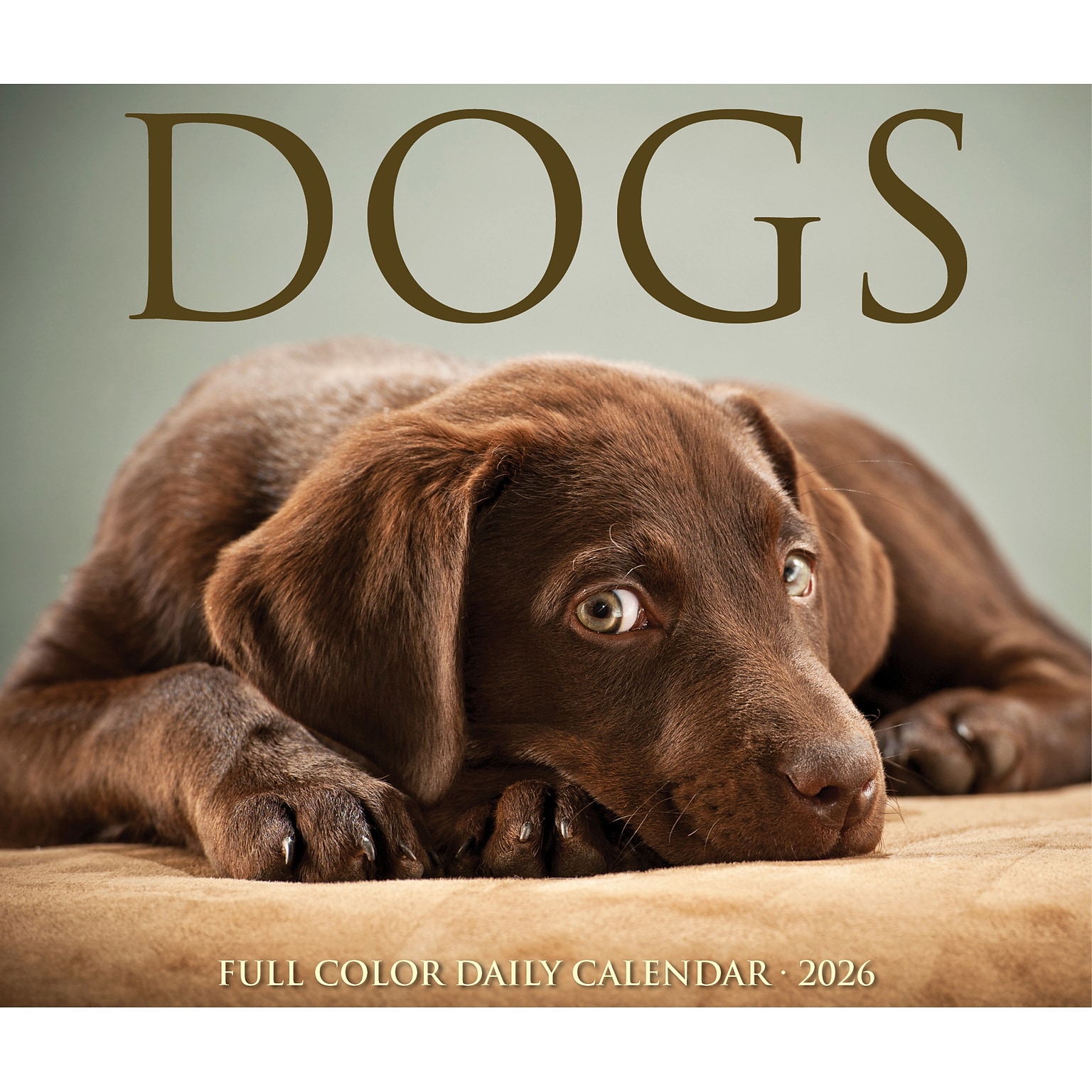 2026 Willow Creek Dogs 6.2 x 5.4 Day-to-Day Calendar (54147)
