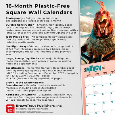 2026 BrownTrout Flew the Coop 12" x 12" Monthly Wall Calendar (9798330707249)