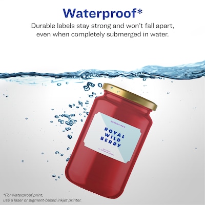 Avery Laser/Inkjet Decorative Edge Waterproof Multipurpose Labels, 3  x 2, White, 80/Pack (94267)