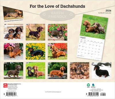 2026 BrownTrout For the Love of Dachshunds 14 x 12 Monthly Wall Calendar (9798330707140)