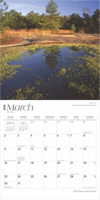 2025 BrownTrout South Carolina Wild & Scenic 12" x 12" Monthly Square Wall Calendar (9781975475710)