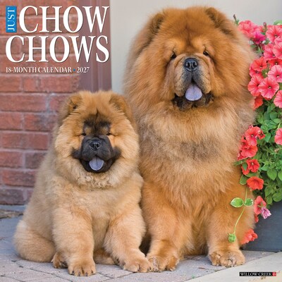 2027 Willow Creek Chow Chows 12 x 12 Monthly Wall Calendar (59708)