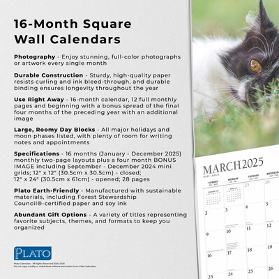 2025 Plato I Love Cats 12" x 12" Monthly  Wall Calendar (9781975478957)