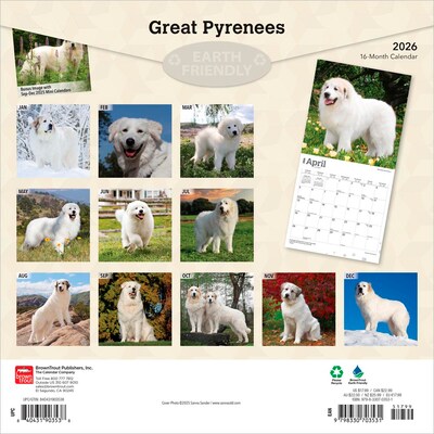 2026 BrownTrout Great Pyrenees 12 x 12 Monthly Wall Calendar (9798330703531)