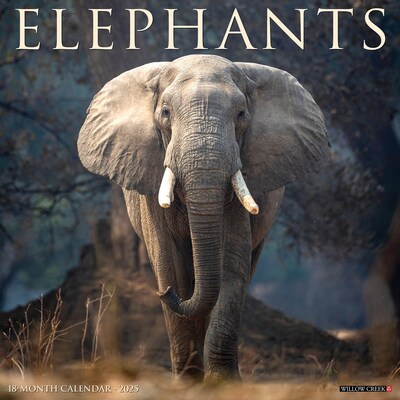 2025 Willow Creek Elephants 12 x 12 Monthly Wall Calendar (42809)