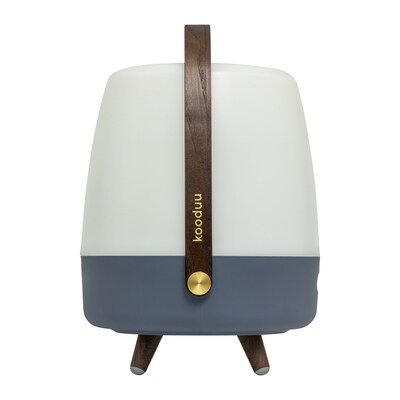 Kooduu Lite Up Play 15.75" LED Speaker Lamp with USB Port, Ocean (1201-07)