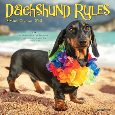 2025 Willow Creek Dachshund Rules 7 x 7 Monthly Wall Calendar (45749)