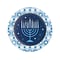 Creative Converting Hanukkah Paper Plate, Blue/Gold, 24/Pack (DTC366921DPLT)