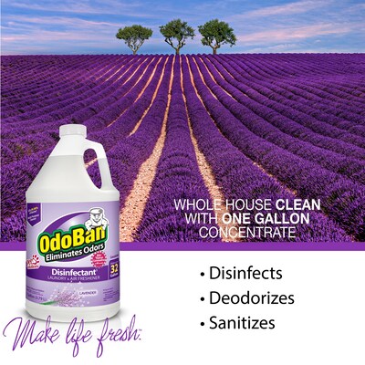 OdoBan Air Freshener & Deodorizer, Lavender Scent, 1 Gallon (911101-G4)