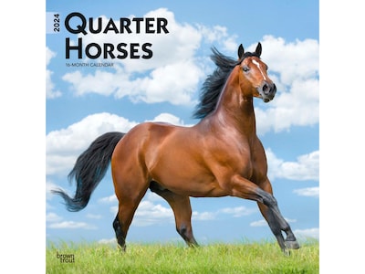 2024 BrownTrout Quarter Horses 12 x 12 Monthly Wall Calendar (9781975464738)