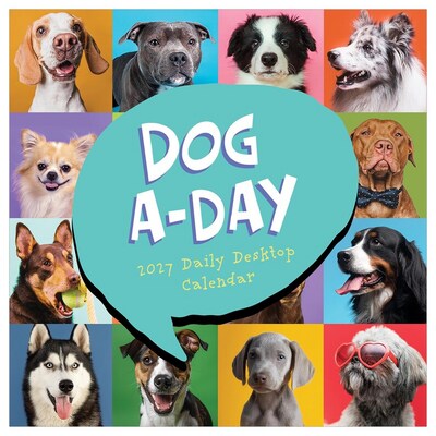 2027 TF Publishing Dog A Day 5.25" x 5.25" Daily Day-to-Day Calendar, Multicolored (27-3008)