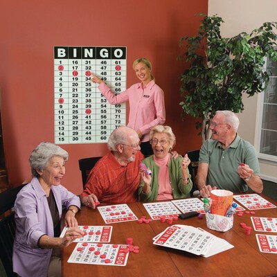 S&S Worldwide Bingo Masterboard Poster and Static Cling Chips, 75/Pack (19303)