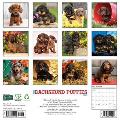2027 Willow Creek Dachshund Puppies  12 x 12 Monthly Wall Calendar (59944)