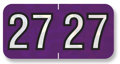 Medical Arts Press Holographic 2027 Year Labels, 3/4 x 1-1/2, Violet, 500/Roll