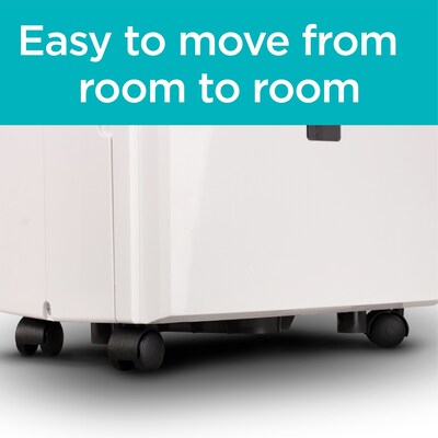 Black & Decker Energy Star 30-Pint Portable Dehumidifier, 2-Speed, Covers up to 3000 sq. ft., White (BDT30WTB)