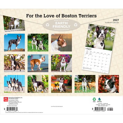 2027 BrownTrout For the Love of Boston Terriers 14 x 12 Monthly Wall Calendar, Assorted Colors (9798330714667)