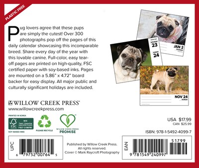 2025 Willow Creek Pugs 6 x 5.5 Day-to-Day Calendar (40997)