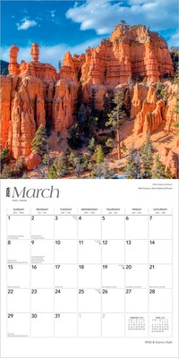 2026 BrownTrout Utah Wild & Scenic 12" x 12" Monthly Wall Calendar (9798330706082)