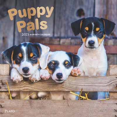 2025 Plato Puppy Pals 12 x 12 Monthly Square Wall Calendar (9781975478988)