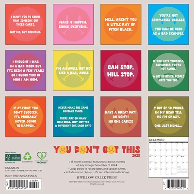 2025 Willow Creek You Dont Got This 12 x 12 Monthly Wall Calendar (45565)