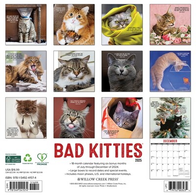 2025 Willow Creek Bad Kitties 12 x 12 Monthly Wall Calendar (41574)