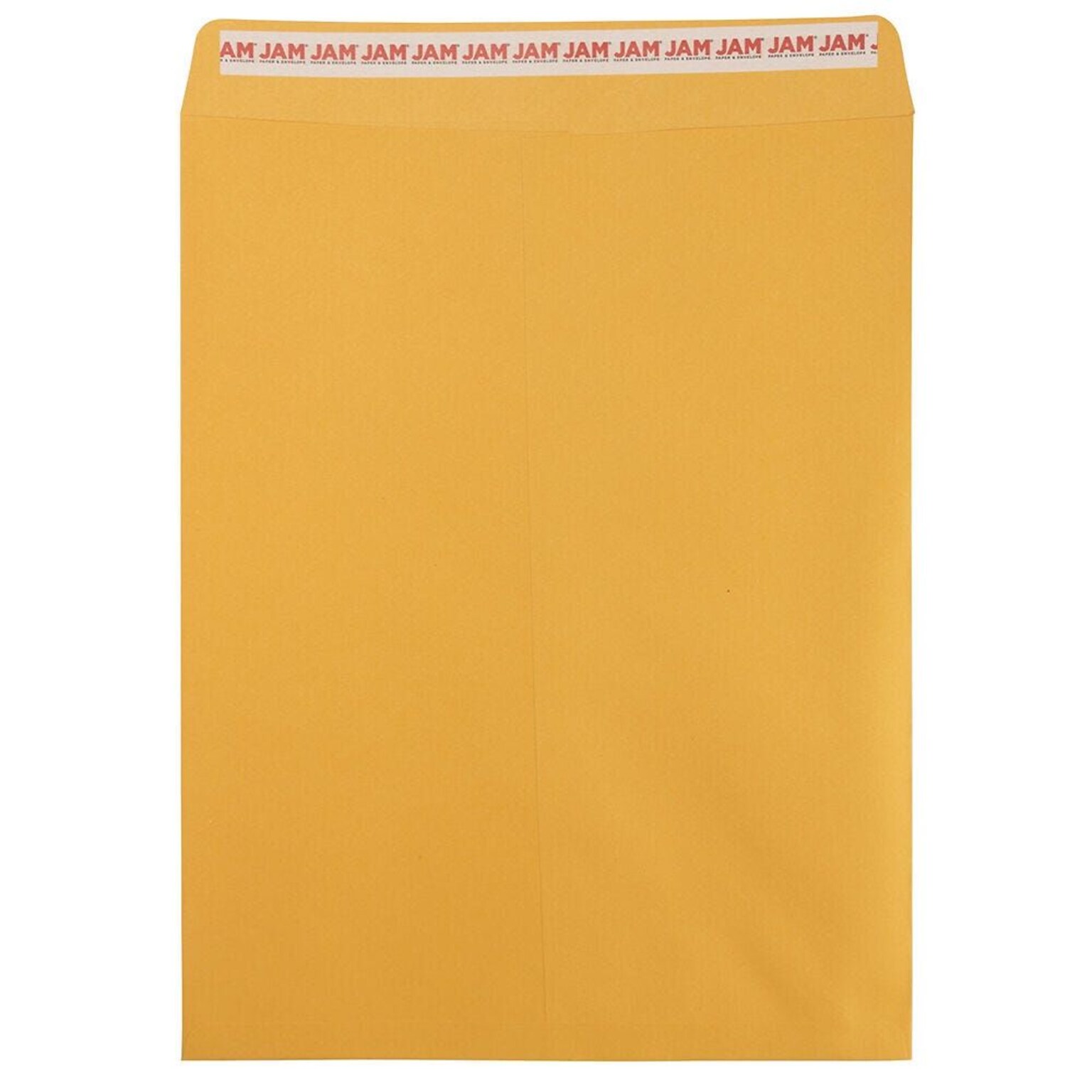 JAM Paper Self Seal Catalog Envelope, 12 x 15 1/2, Brown Kraft, 100/Pack (13034236D)