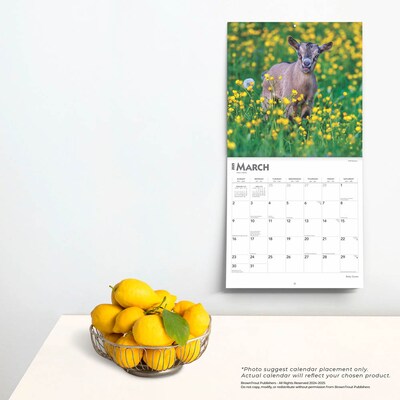 2025 BrownTrout Baby Goats 12" x 12" Monthly Wall Calendar (9781975476571)