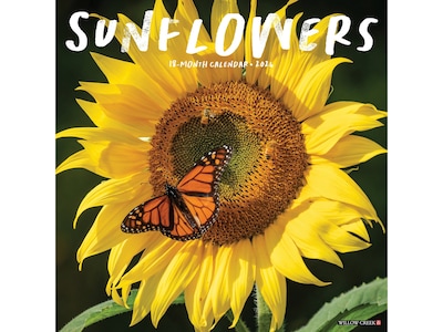 2024 Willow Creek Sunflowers 12 x 12 Monthly Wall Calendar (35528)