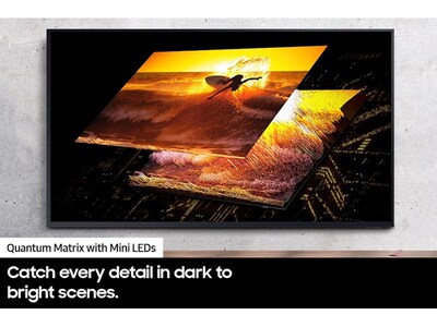 Samsung Terrace 65" Neo QLED 4K Outdoor AI Enabled TV (QN65LST9DAFXZA)