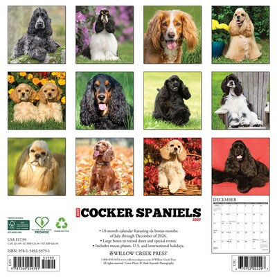 2027 Willow Creek Cocker Spaniels 12 x 12 Monthly Wall Calendar, Assorted Colors (59791)