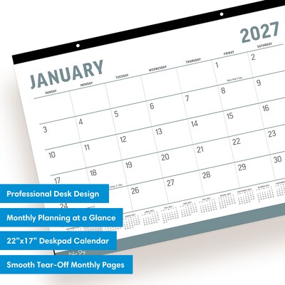 2027 Blue Sky 17" x 22" Monthly Desk Calendar, Gray/White (161000)