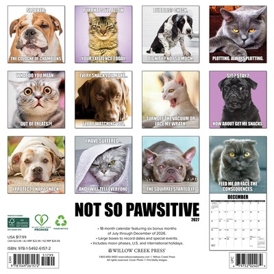 2027 Willow Creek Not So Pawsitive  12 x 12 Monthly Wall Calendar (61572)