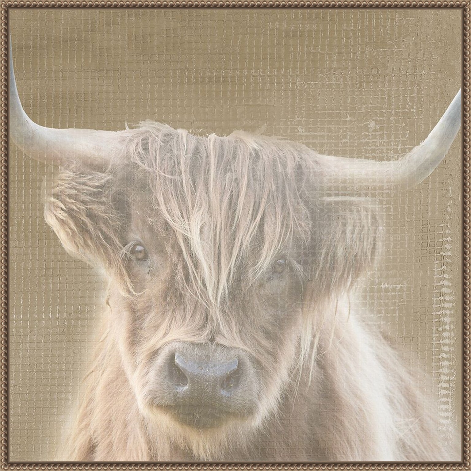 Amanti Art Soulful Bull by Patricia Pinto Framed Canvas Wall Art Print, 30 x 30 (A42678299508)